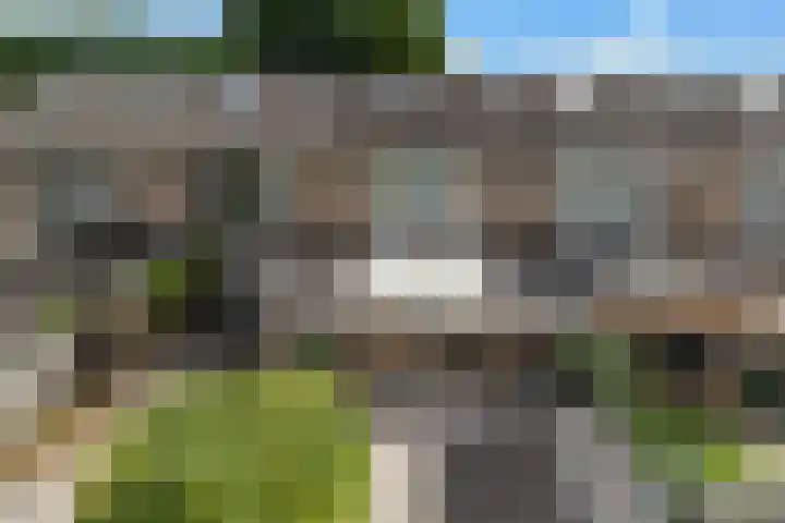 Uithof 112 Schoonebeek thumbnail 14