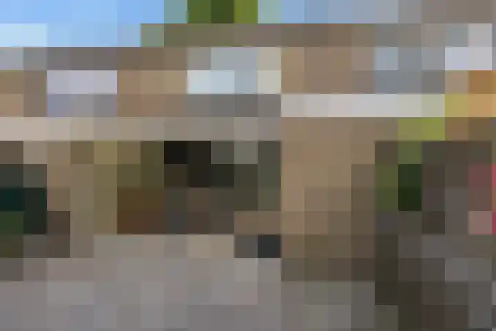 Uithof 112 Schoonebeek thumbnail 15