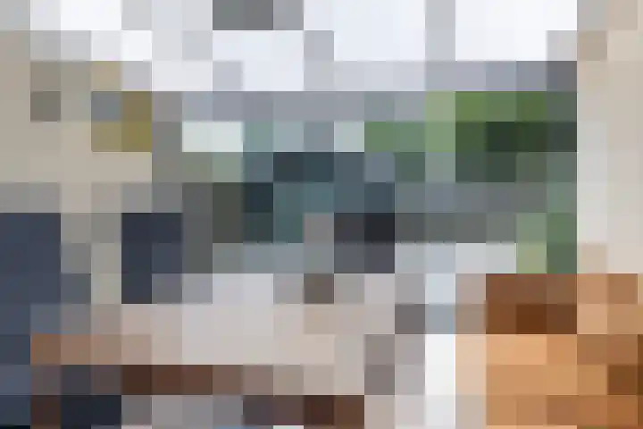 Uithof 112 Schoonebeek thumbnail 18