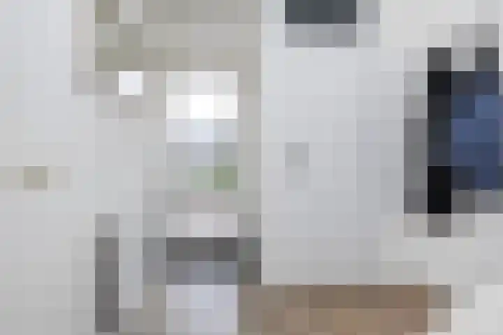 Uithof 112 Schoonebeek thumbnail 21