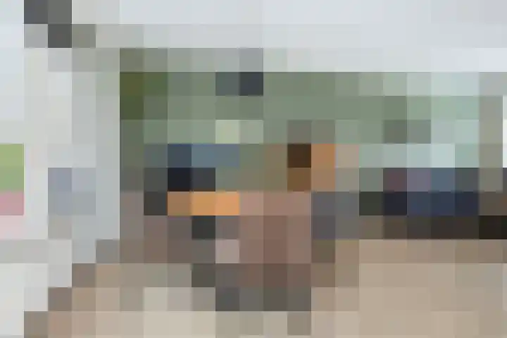 Uithof 112 Schoonebeek thumbnail 26
