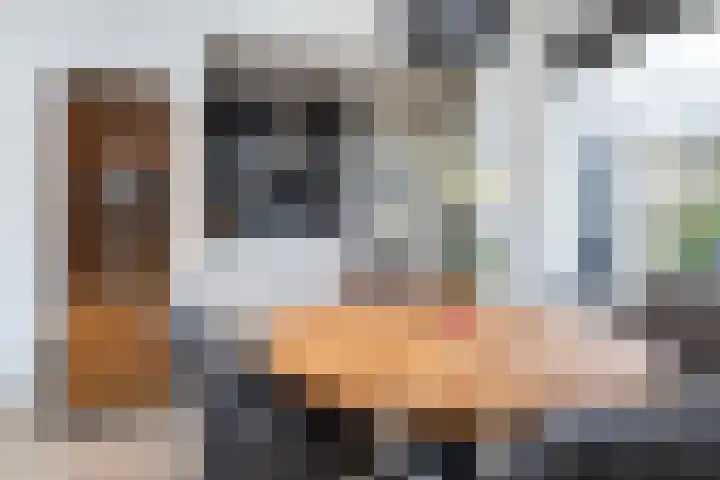 Uithof 112 Schoonebeek thumbnail 27