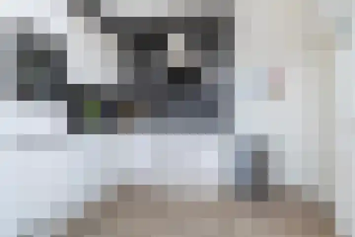 Uithof 112 Schoonebeek thumbnail 28