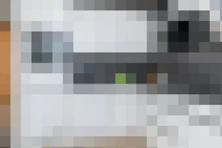 Uithof 112 Schoonebeek thumbnail 29