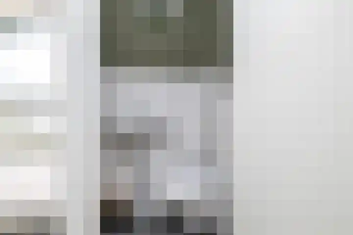 Uithof 112 Schoonebeek thumbnail 31