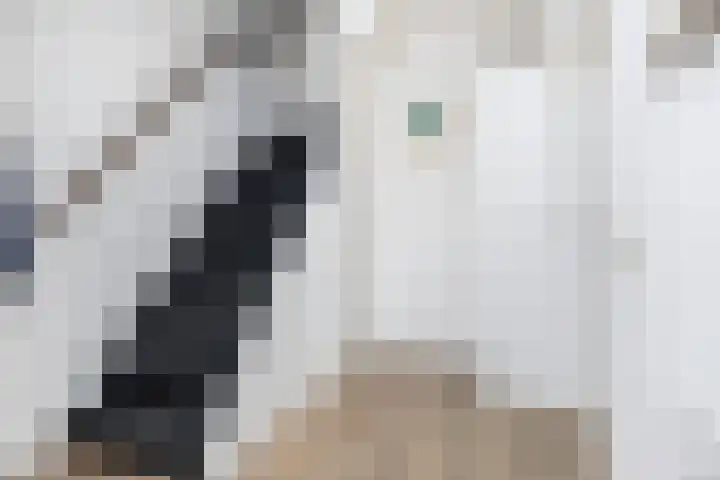 Uithof 112 Schoonebeek thumbnail 32