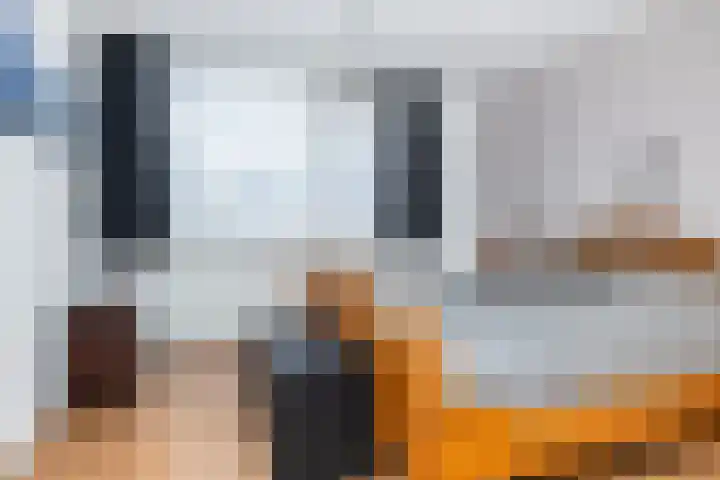 Uithof 112 Schoonebeek thumbnail 33