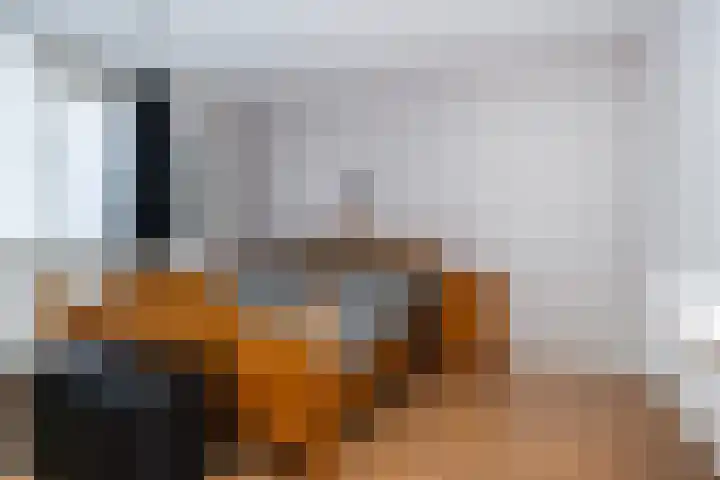 Uithof 112 Schoonebeek thumbnail 38