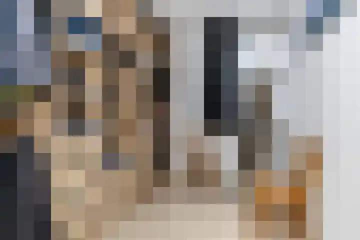 Uithof 112 Schoonebeek thumbnail 39