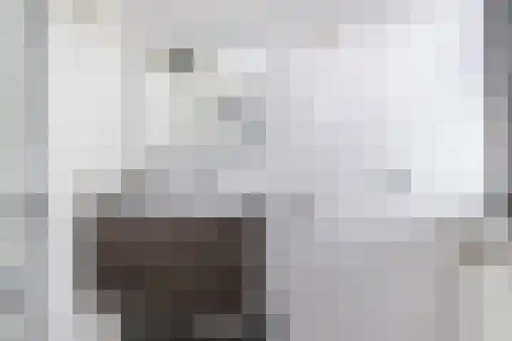 Uithof 112 Schoonebeek thumbnail 41