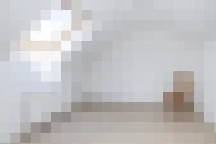 Uithof 112 Schoonebeek thumbnail 45