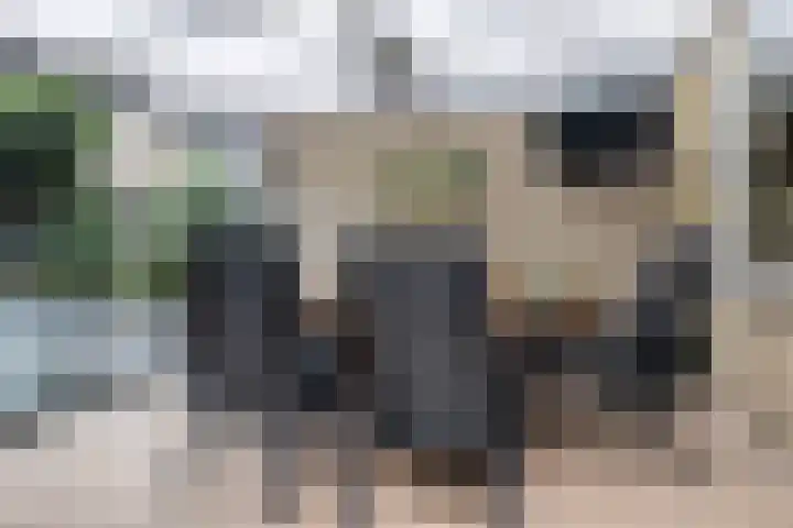 Uithof 112 Schoonebeek thumbnail 5