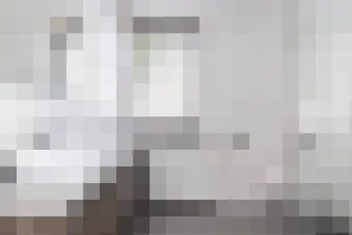 Uithof 112 Schoonebeek thumbnail 6