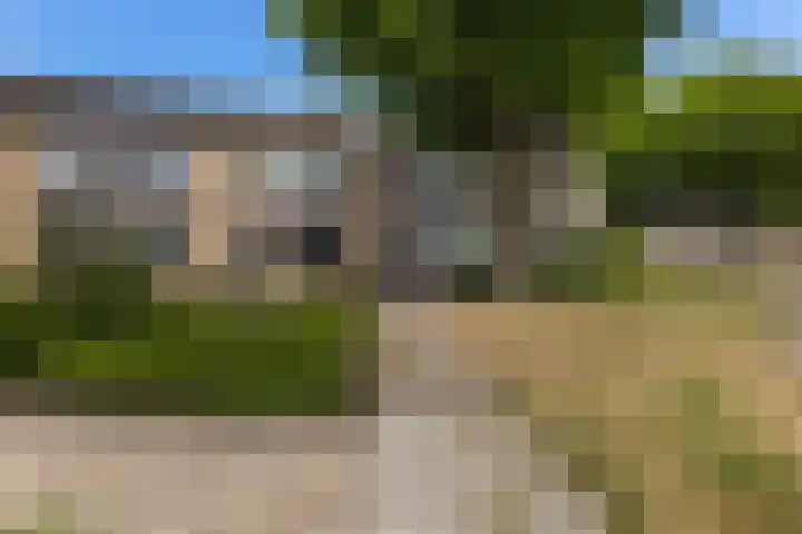 Uithof 112 Schoonebeek thumbnail 7