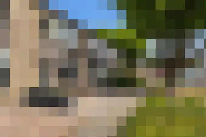 Uithof 112 Schoonebeek thumbnail 8