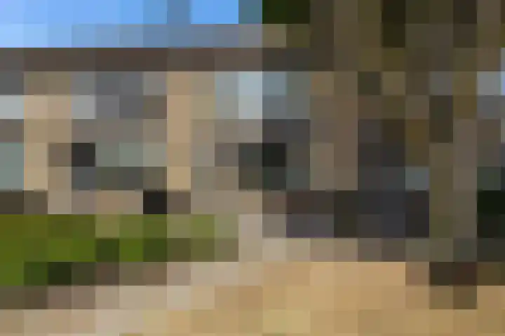 Uithof 112 Schoonebeek thumbnail 9
