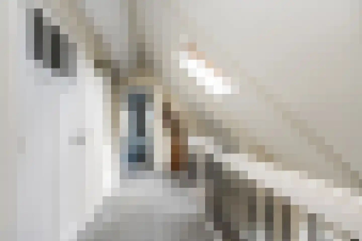 Uithof 13 Wijk en Aalburg thumbnail 22