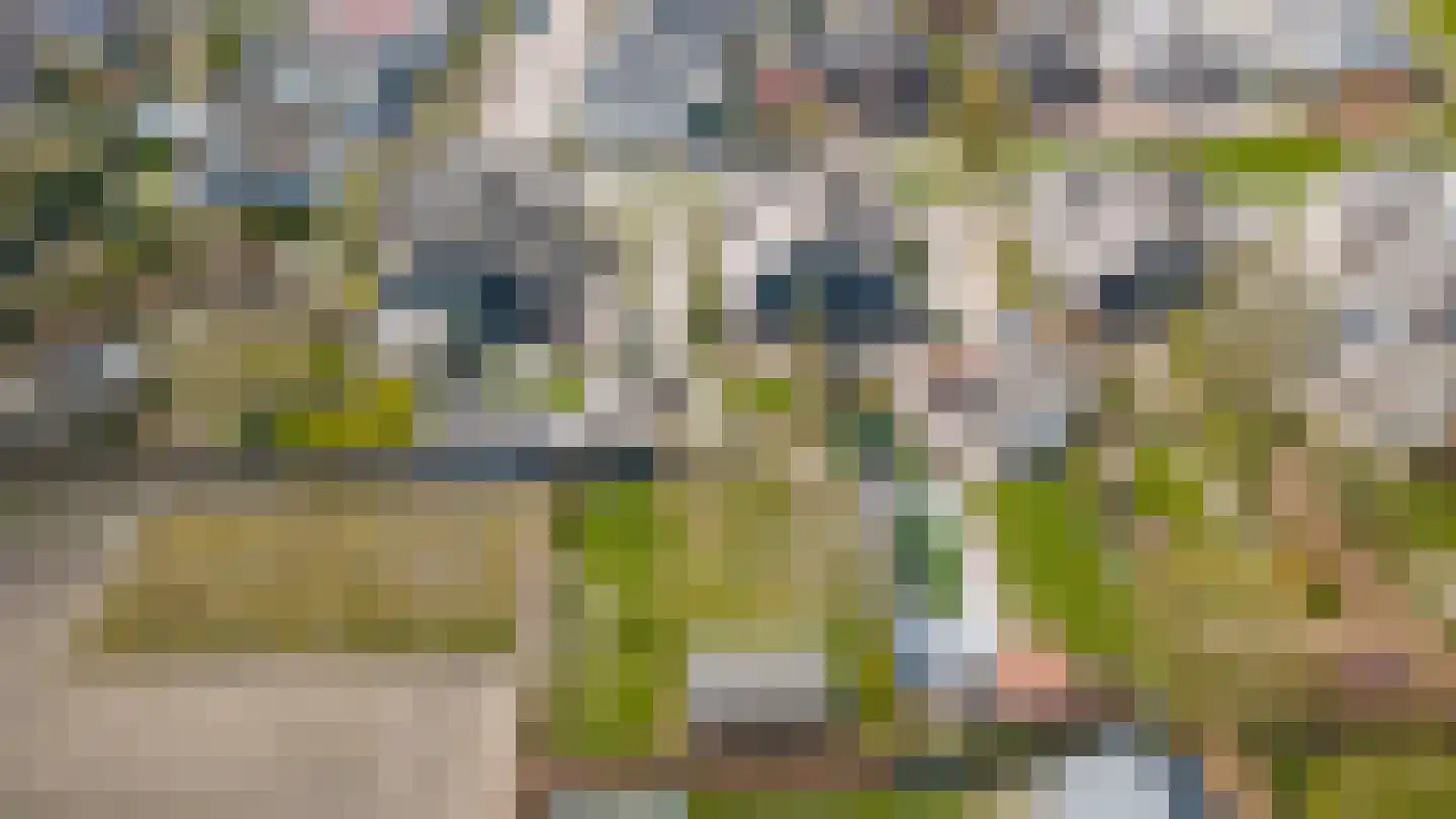 Uithof 13 Wijk en Aalburg thumbnail 49