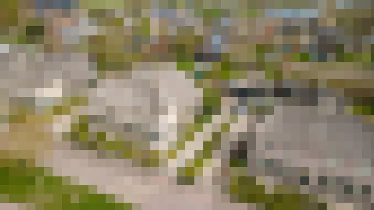 Uithof 13 Wijk en Aalburg thumbnail 6