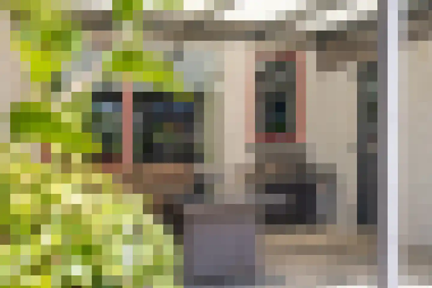 Uithof 132 Schoonebeek thumbnail 13
