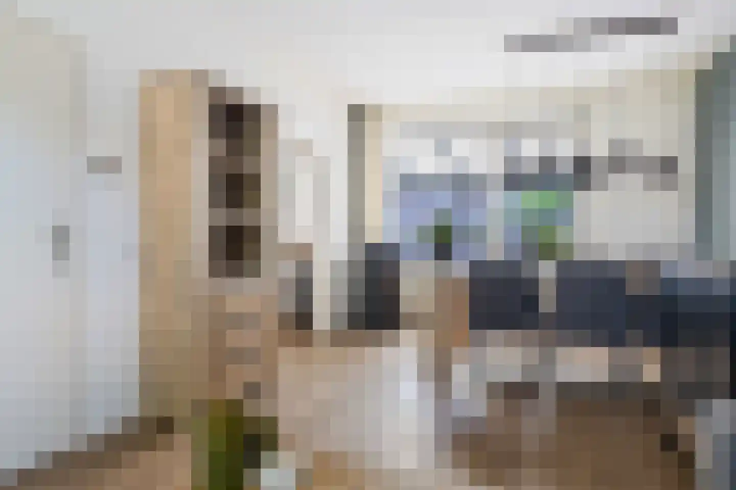 Uithof 132 Schoonebeek thumbnail 20