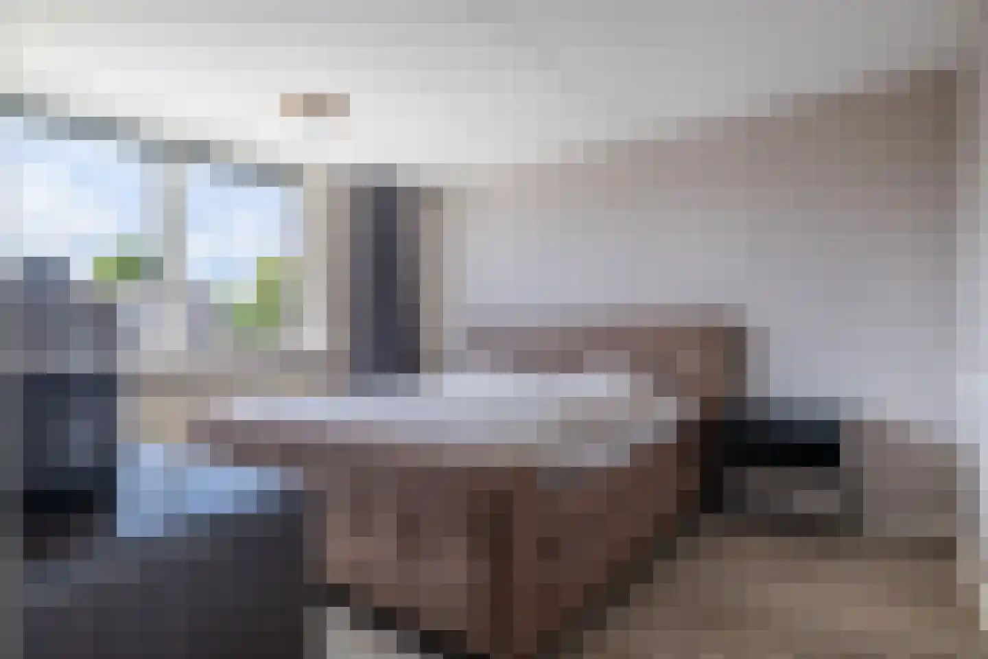 Uithof 132 Schoonebeek thumbnail 28