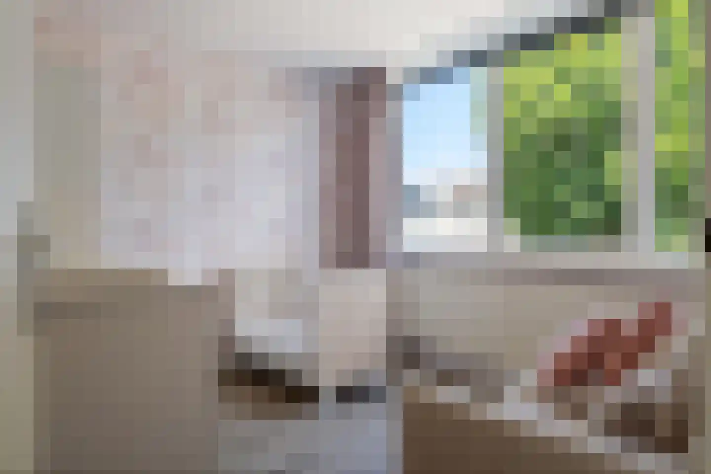 Uithof 132 Schoonebeek thumbnail 30