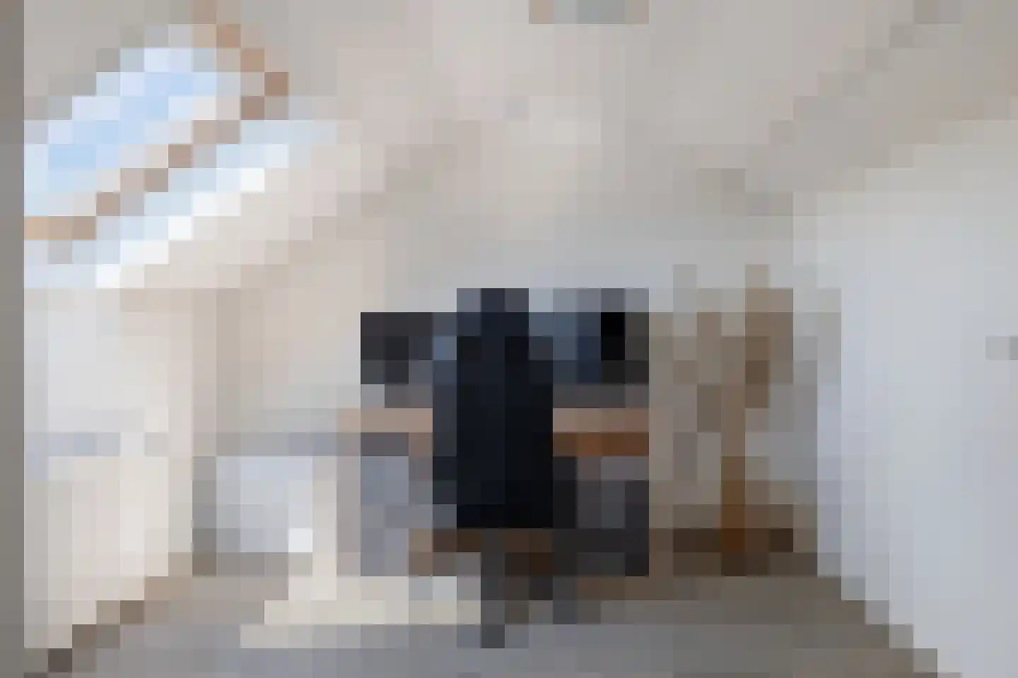 Uithof 132 Schoonebeek thumbnail 38