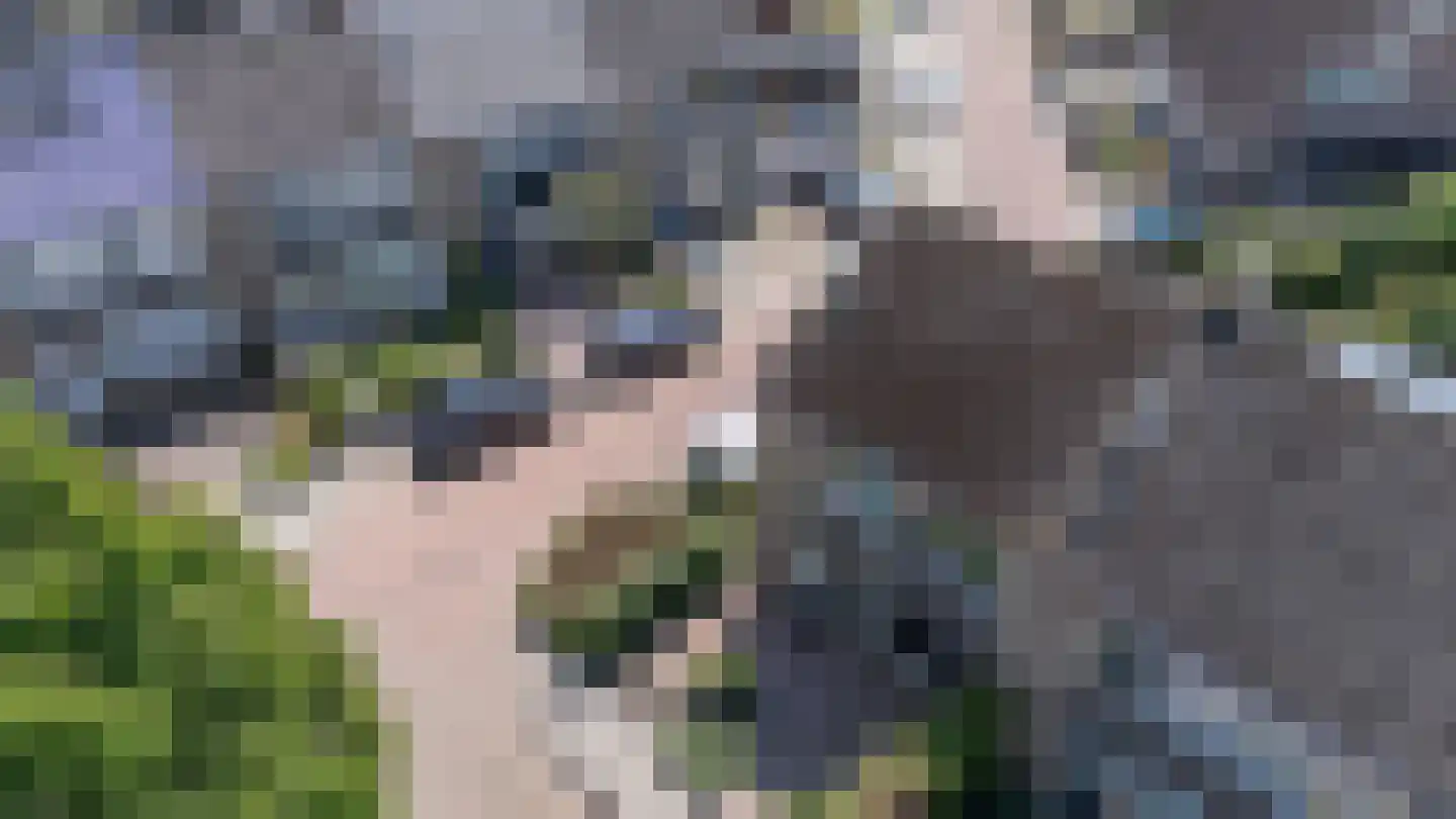 Uithof 132 Schoonebeek thumbnail 42