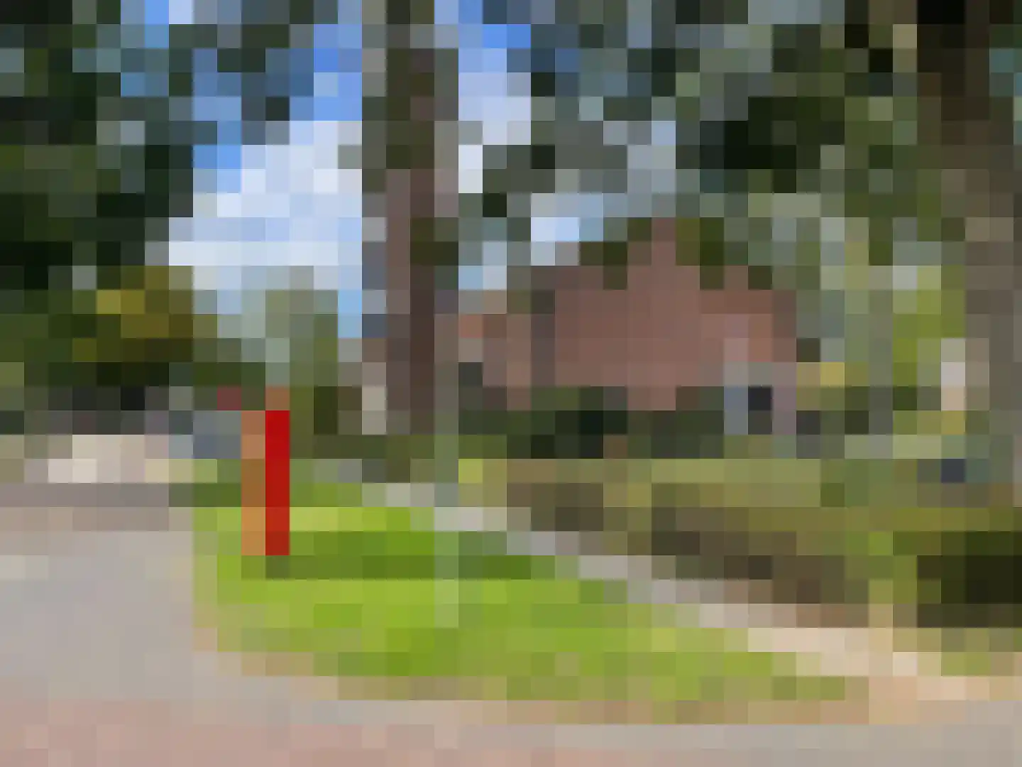 Uithof 132 Schoonebeek thumbnail 43