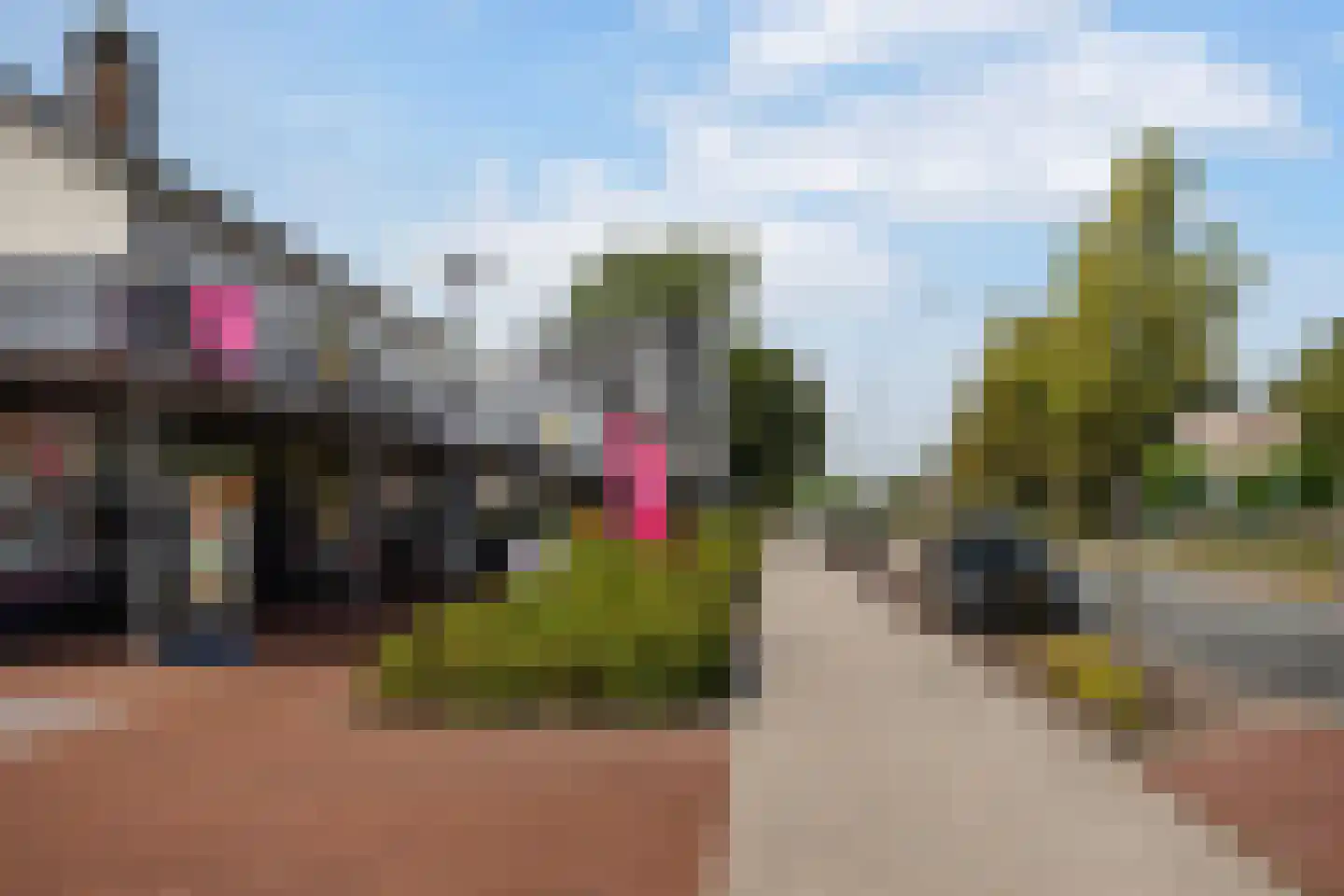Uithof 132 Schoonebeek thumbnail 45