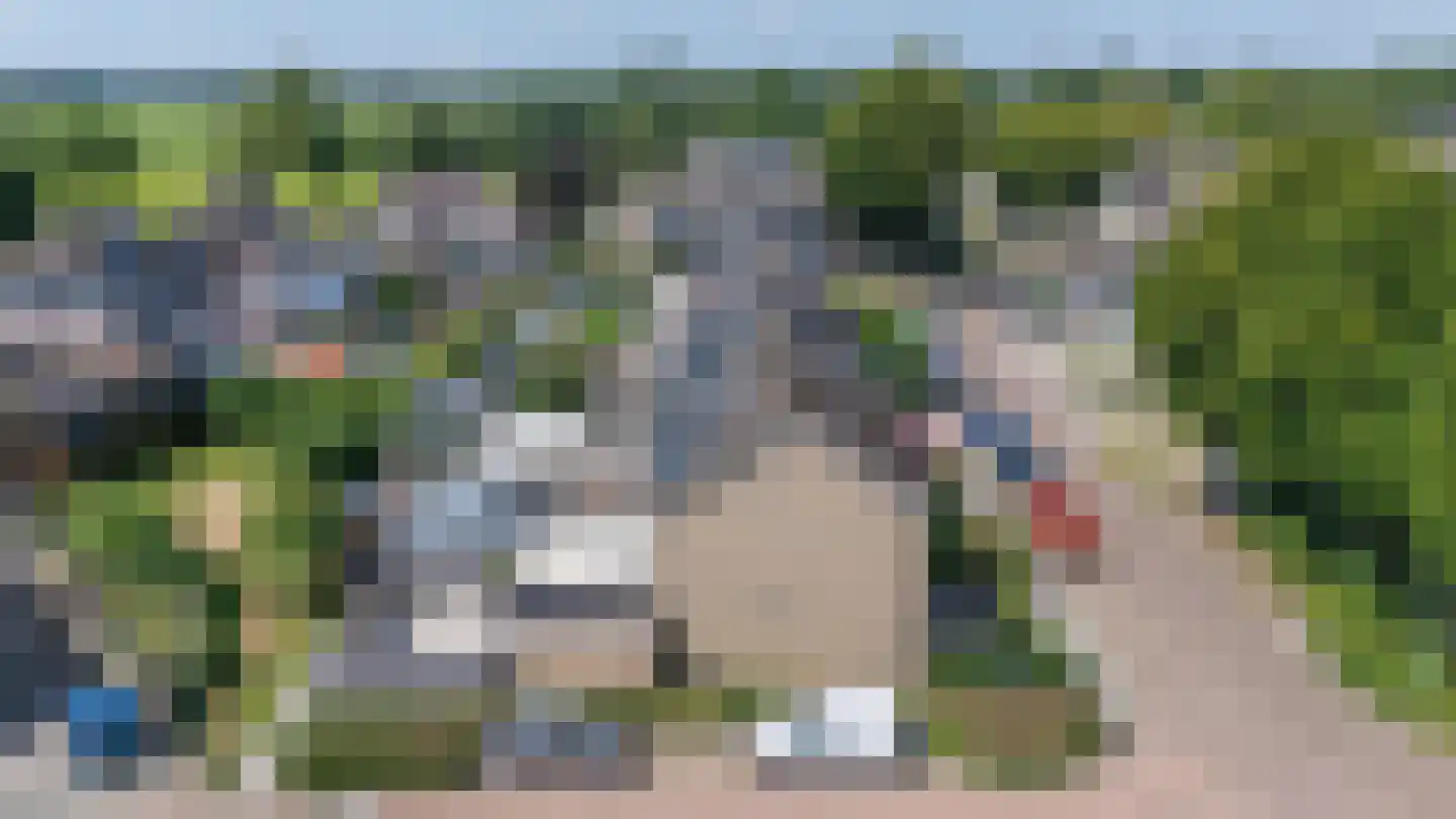 Uithof 132 Schoonebeek thumbnail 5