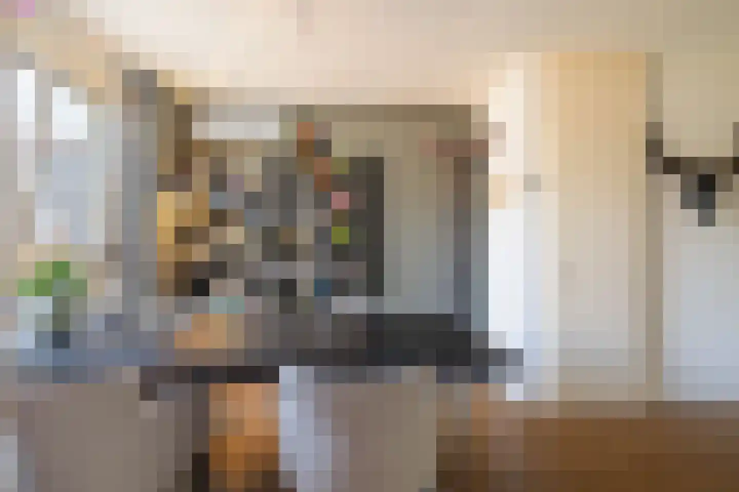 Uithof 14 Schoonebeek thumbnail 13