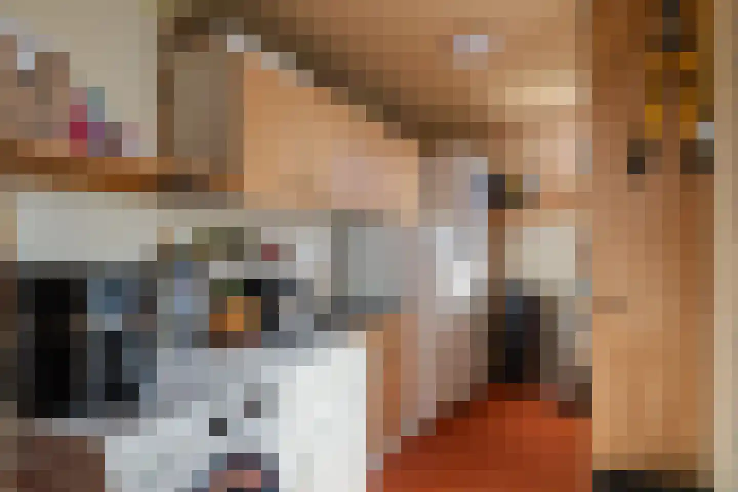 Uithof 14 Schoonebeek thumbnail 17