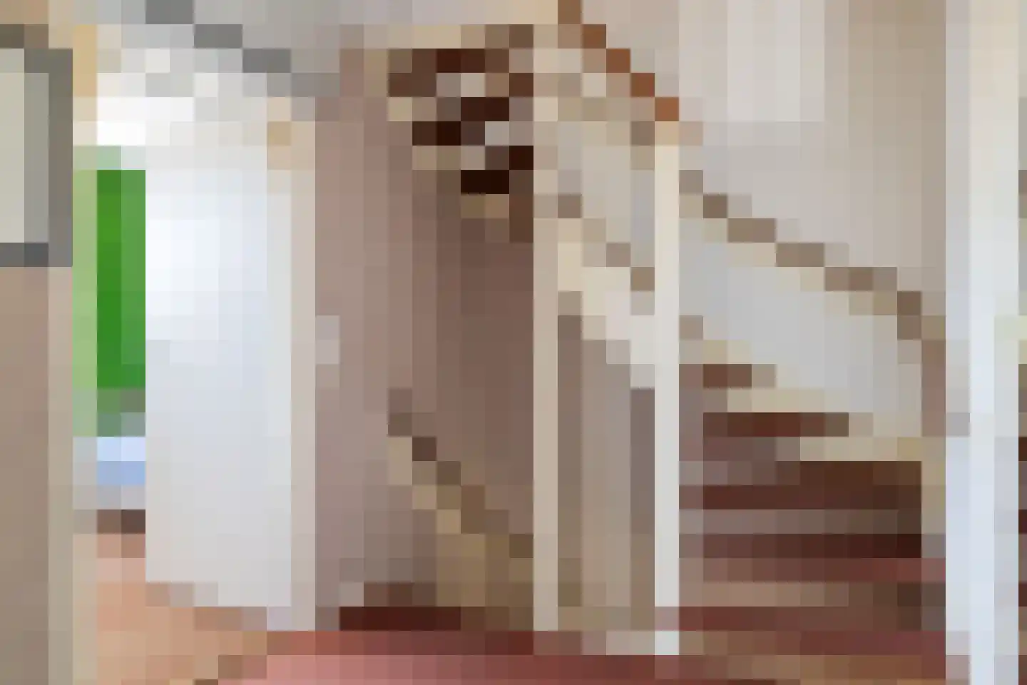 Uithof 14 Schoonebeek thumbnail 18