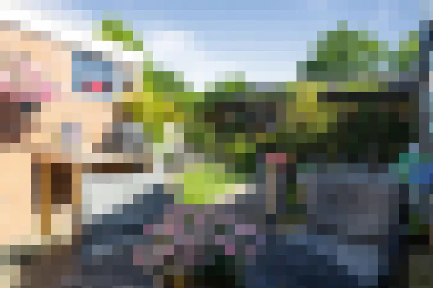 Uithof 14 Schoonebeek thumbnail 30