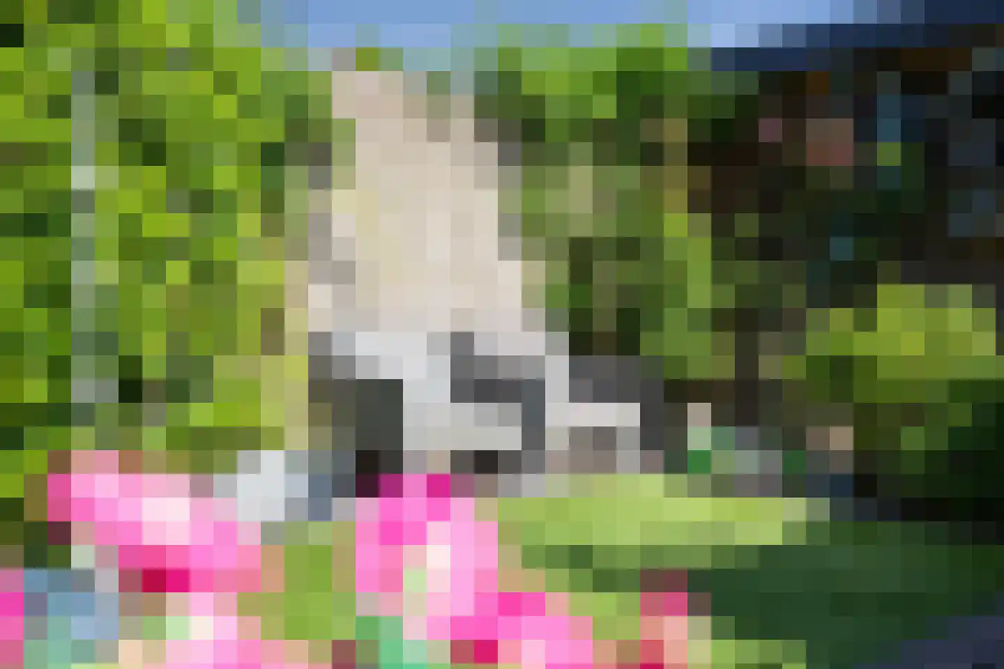 Uithof 14 Schoonebeek thumbnail 33