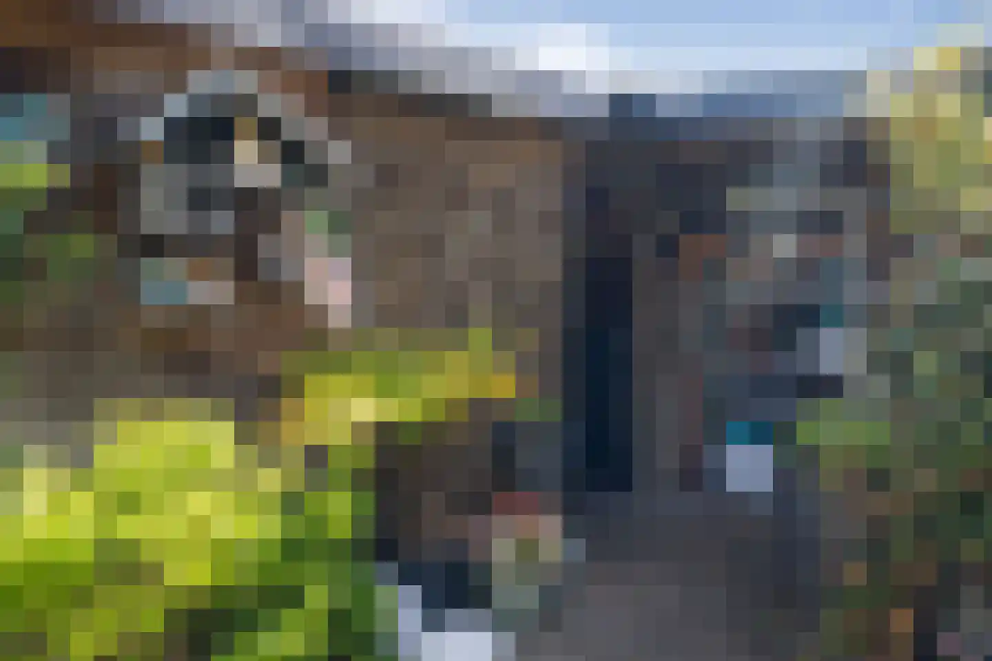 Uithof 14 Schoonebeek thumbnail 36