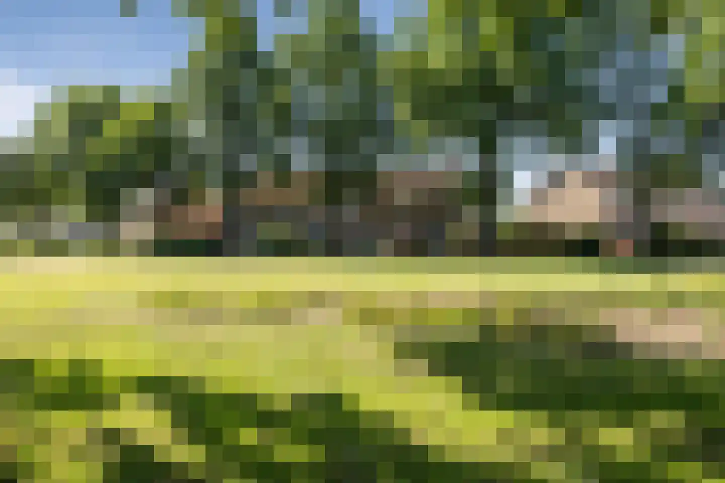 Uithof 14 Schoonebeek thumbnail 40