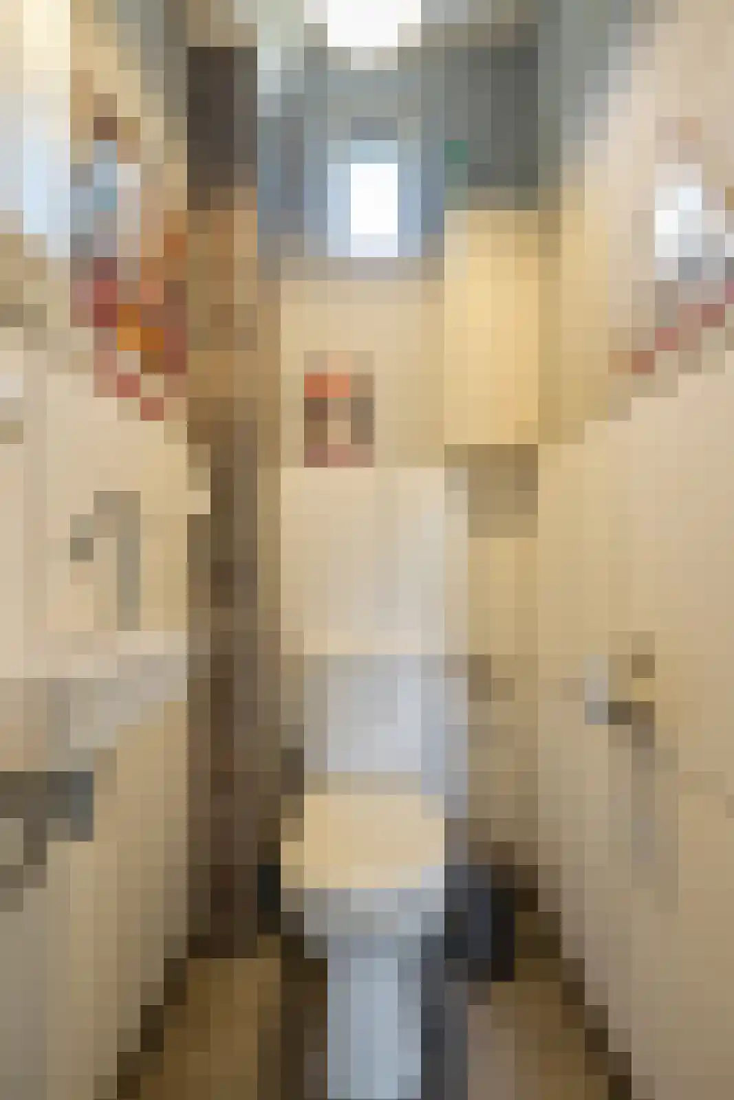 Uithof 14 Schoonebeek thumbnail 7