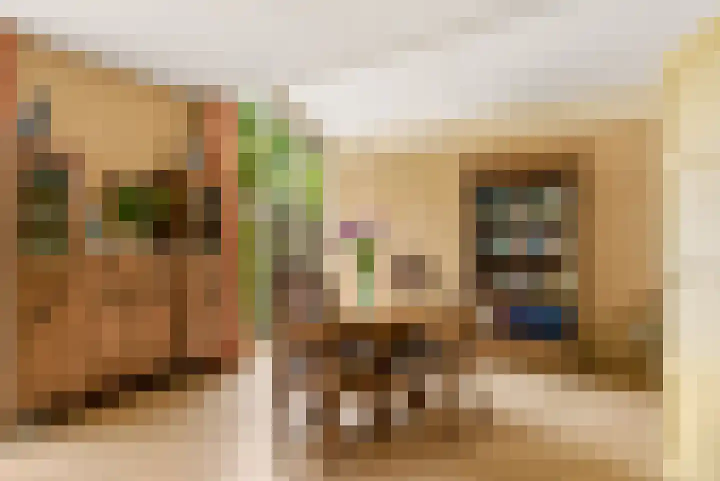 Uithof 15 Almere thumbnail 20