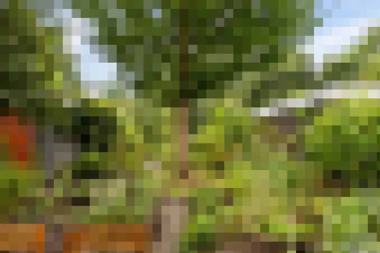 Uithof 15 Almere thumbnail 45