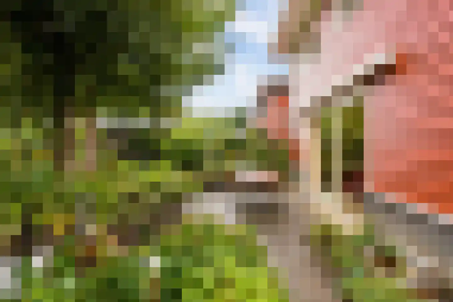 Uithof 15 Almere thumbnail 46