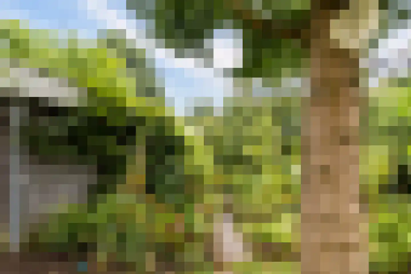 Uithof 15 Almere thumbnail 47