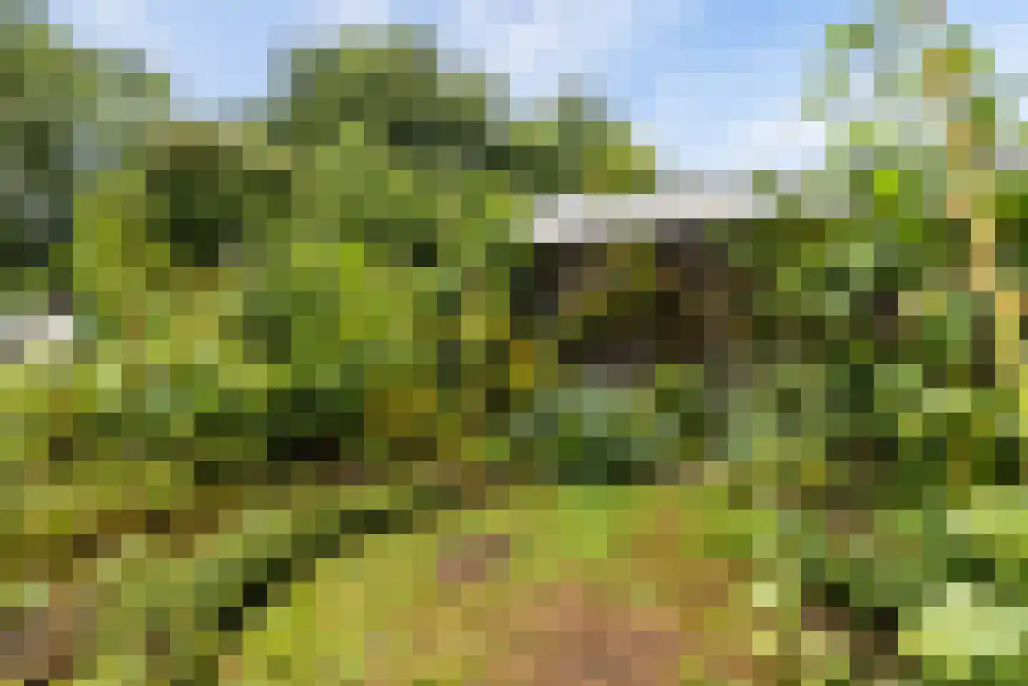 Uithof 15 Almere thumbnail 48