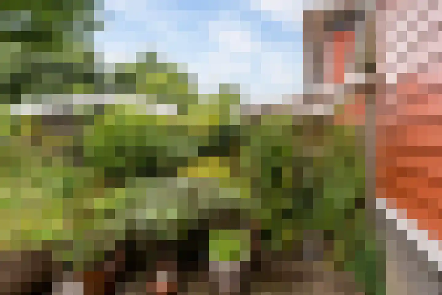 Uithof 15 Almere thumbnail 49