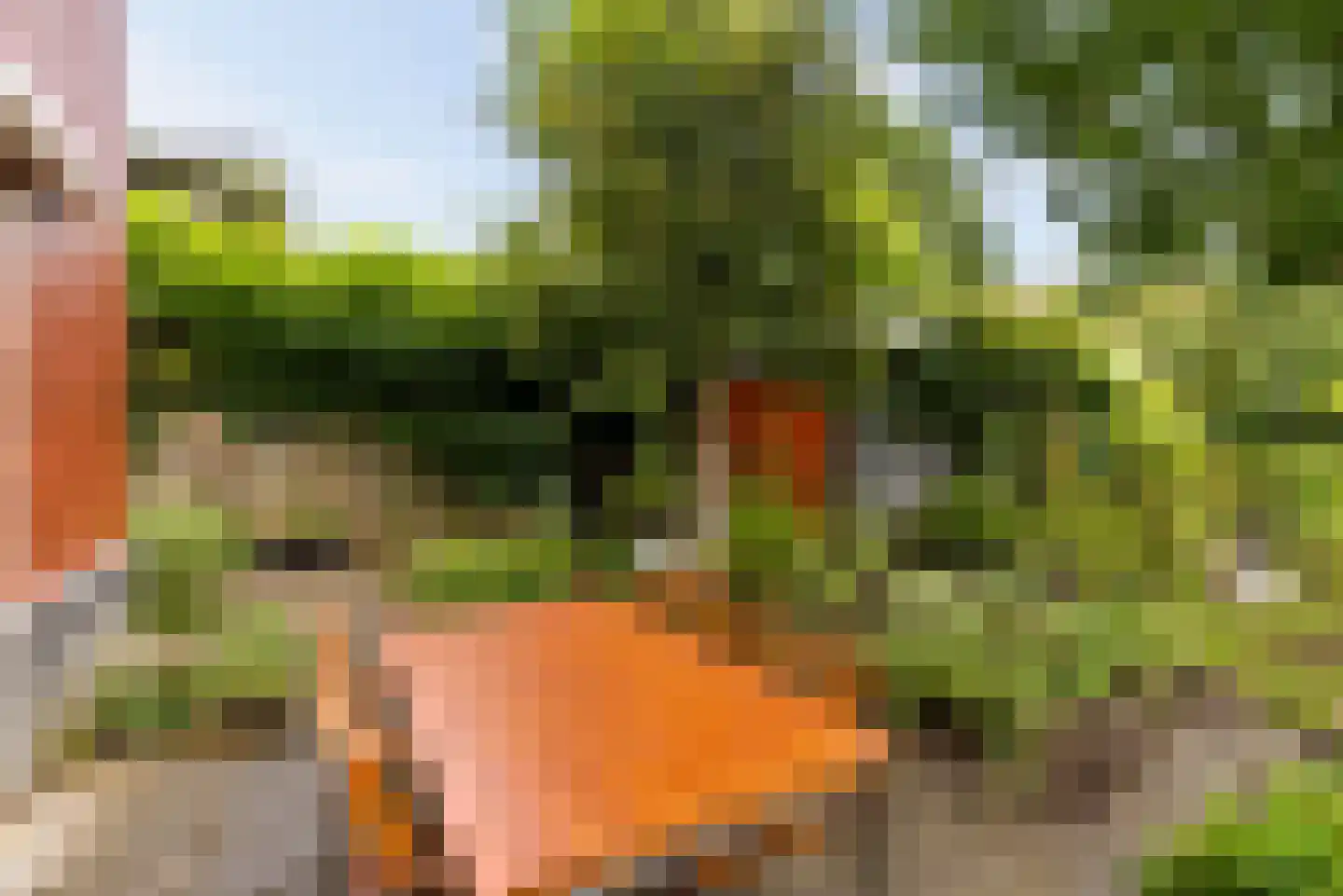 Uithof 15 Almere thumbnail 50