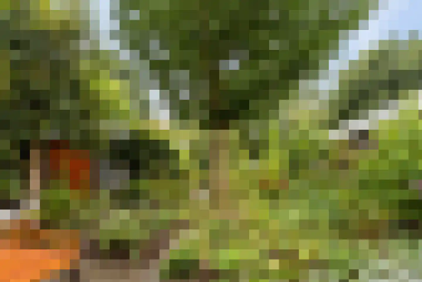Uithof 15 Almere thumbnail 51
