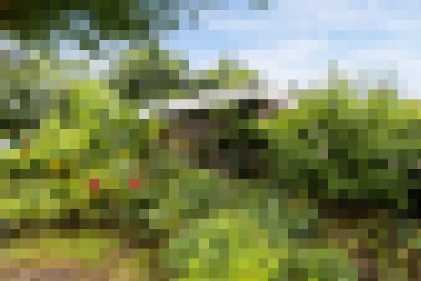 Uithof 15 Almere thumbnail 52