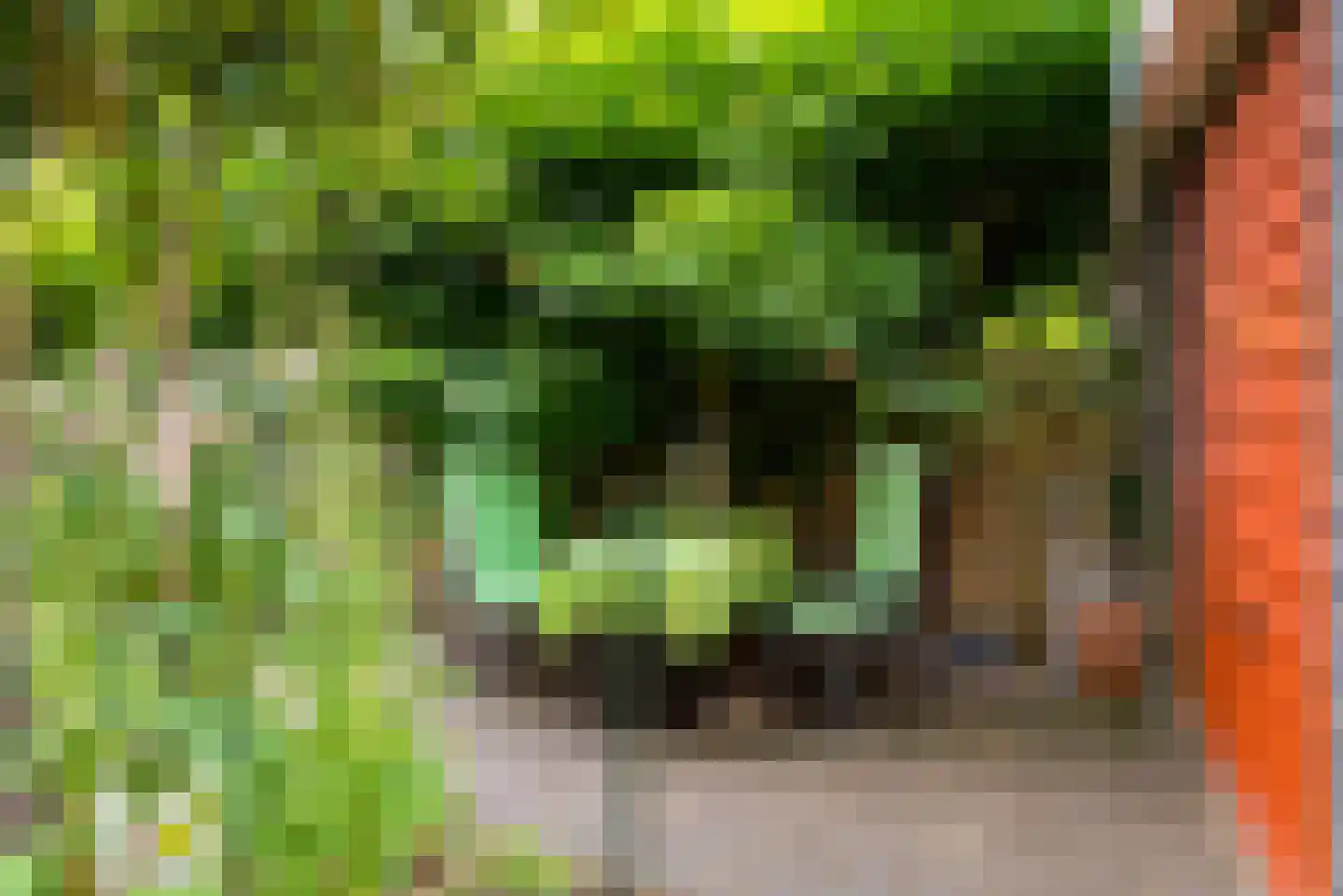 Uithof 15 Almere thumbnail 53